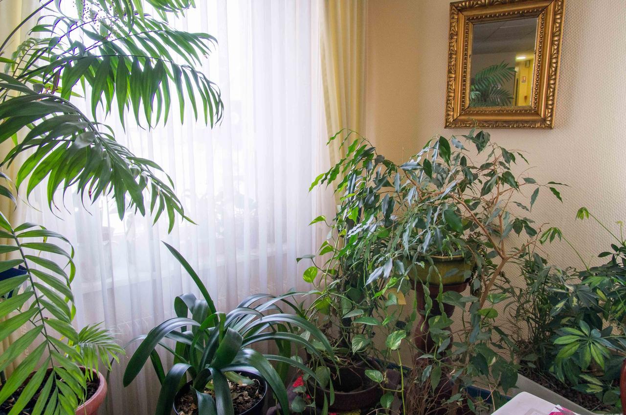 Hotel De Bale Bantzenheim Eksteriør billede