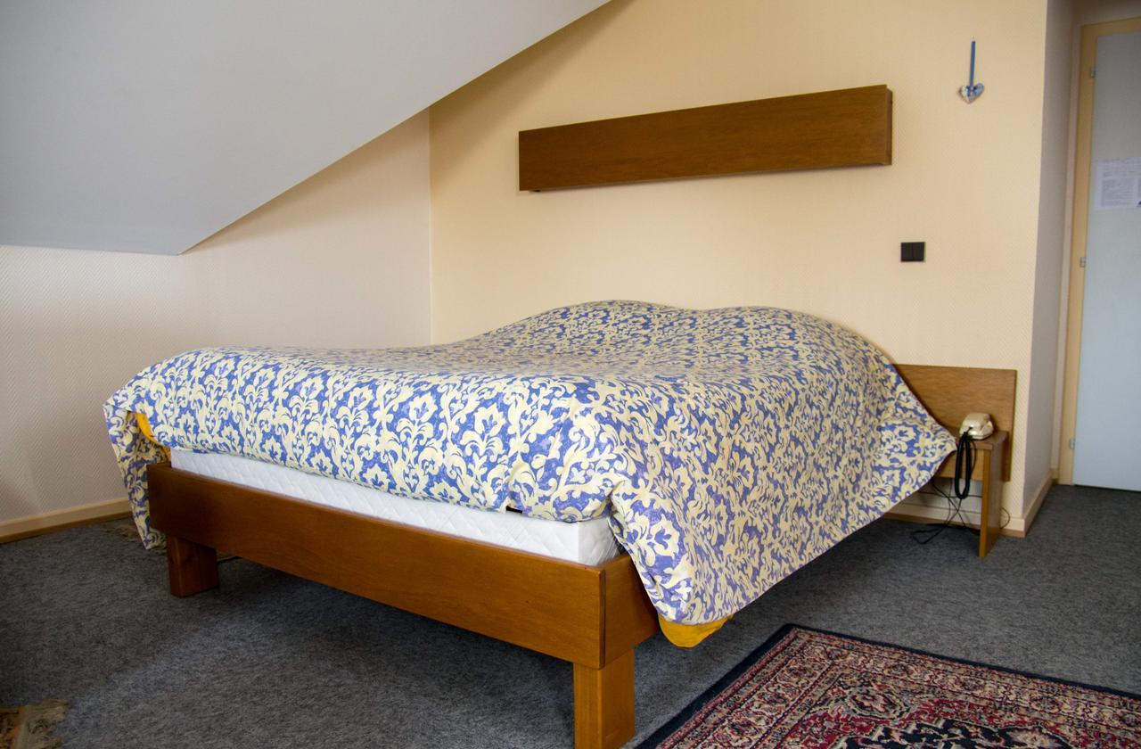 Hotel De Bale Bantzenheim Eksteriør billede